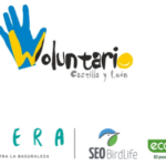 Protegido: Voluntariado en las «Arcas Reales» (Proyecto Libera)